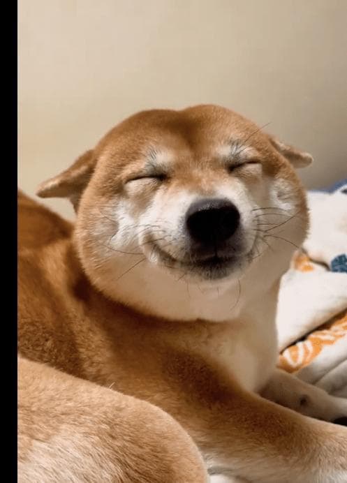 Baga smiling with eyes closed