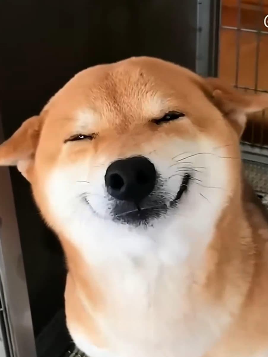 Baga cheeky squinting grin